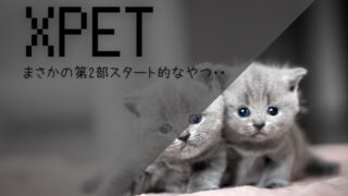 XPET　遊び方